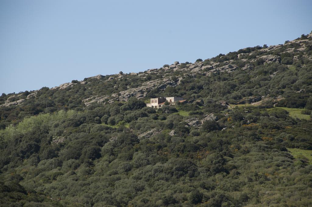 Campi Elisi B&B Sassari Exterior foto